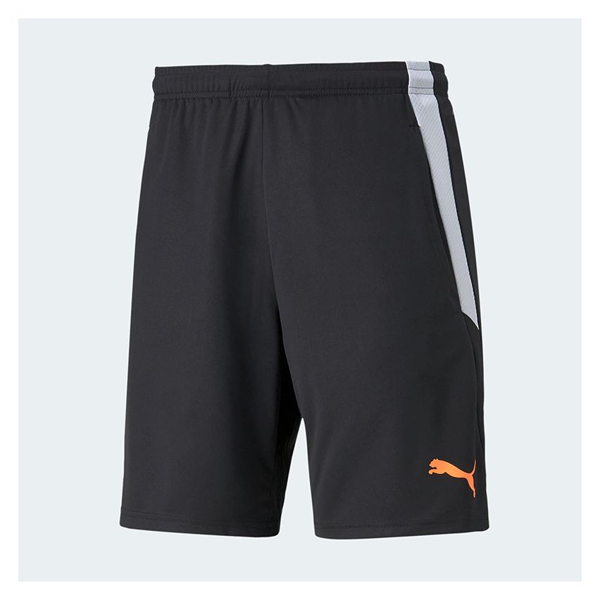 Puma Teamligatraining Shorts for Men